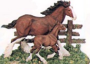 mare, foal